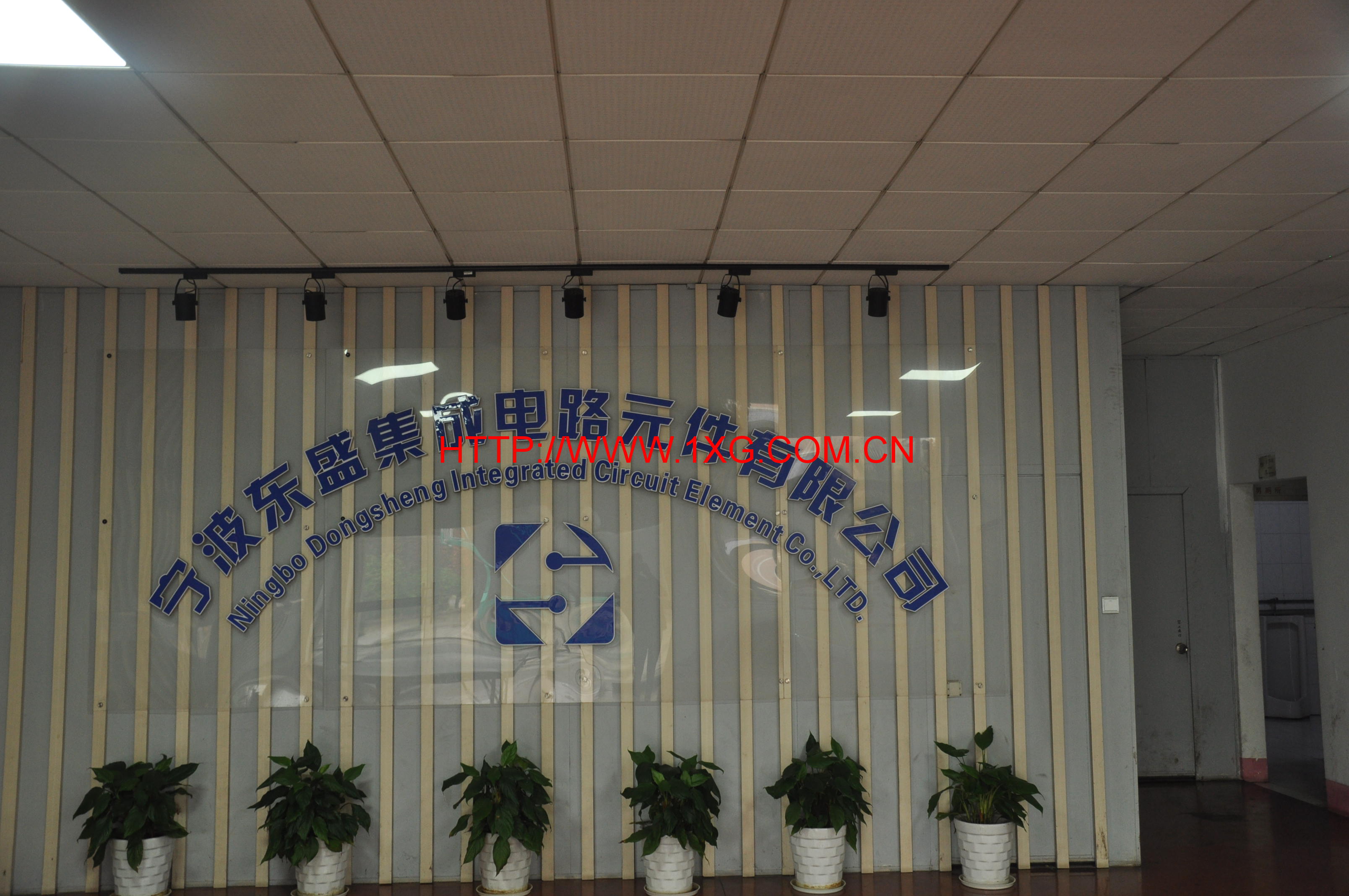 宁波东盛集成电路元件有限公司网站2017年新版上线！