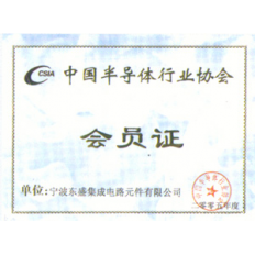 中国半导体
