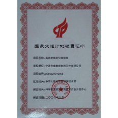 火炬项目证书